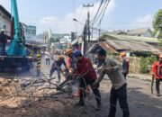 BPBD Kabupaten Sukabumi Tebang Pohon Mahoni Tua di Jalur Nasional