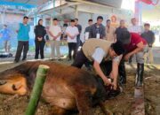 Idul Adha 1447 H, Heri Gunawan Sebar Hewan Kurban ke Berbagai Wilayah Sukabumi