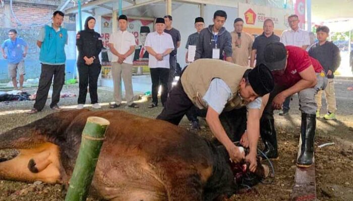 Idul Adha 1447 H, Heri Gunawan Sebar Hewan Kurban ke Berbagai Wilayah Sukabumi