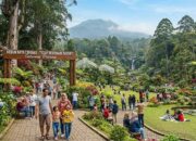 Kebun-raya-Cibodas