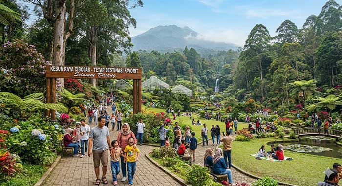 Kebun-raya-Cibodas