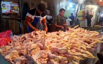 Pedagang Ayam Potong