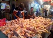 Pedagang Ayam Potong