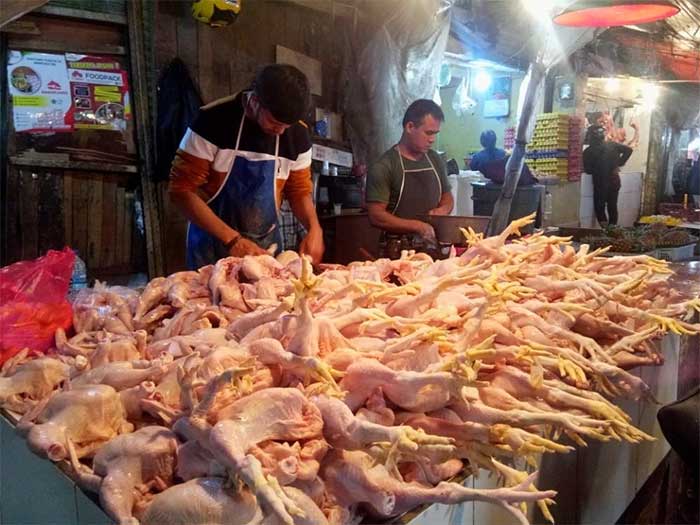 Pedagang Ayam Potong