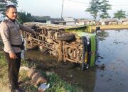 Truk Hino Terjun ke Sawah