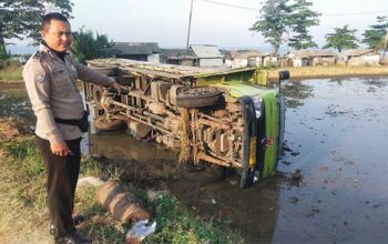 Truk Hino Terjun ke Sawah