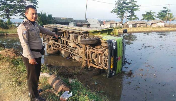 Truk Hino Terjun ke Sawah di Cisolok Sukabumi, Diduga Sopir Tak Hafal Jalur