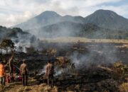 Alun-Alun Suryakencana Gunung Gede Pangrango Kebakaran