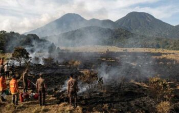 Alun-Alun Suryakencana Gunung Gede Pangrango Kebakaran