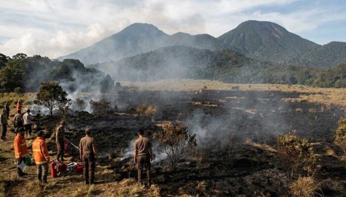 Gunung Gede Pangrango Kebakaran, Pendakian Ditutup