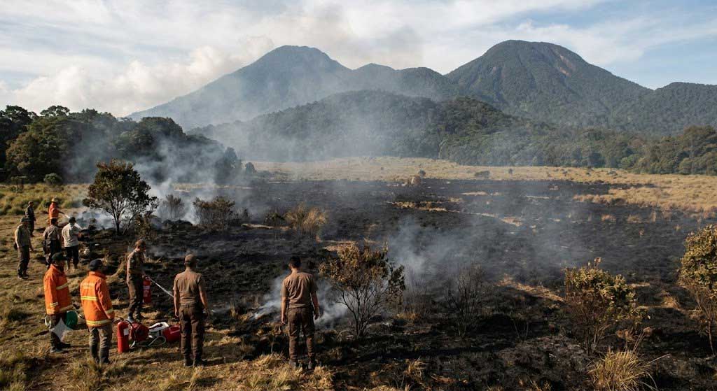 Alun-Alun Suryakencana Gunung Gede Pangrango Kebakaran