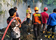 BPBD Kota Sukabumi: Waspada Kebakaran Lahan