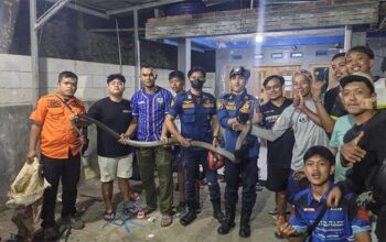 Damkar Cibadak Sukabumi