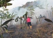 Damkar Kabupaten Sukabumi Sigap Padamkan Api Gunung Jayanti