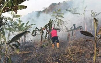 Damkar Kabupaten Sukabumi Sigap Padamkan Api Gunung Jayanti