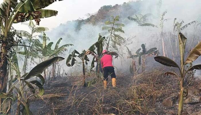 Damkar Kabupaten Sukabumi Sigap Padamkan Api dari Gunung Jayanti