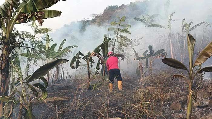 Damkar Kabupaten Sukabumi Sigap Padamkan Api Gunung Jayanti