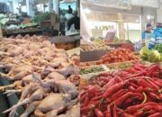 Harga-ayam-cabai