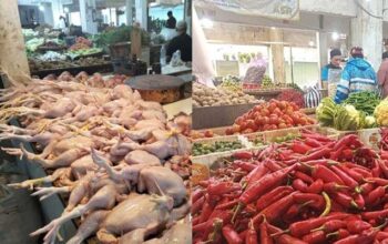 Harga-ayam-cabai