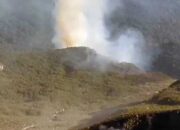 Kawasan Kawah Wadon Gunung Gede Pangrango Terbakar