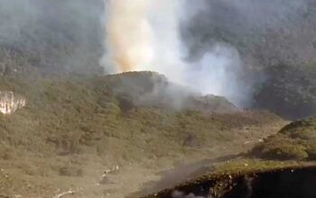 Kawasan Kawah Wadon Gunung Gede Pangrango Terbakar