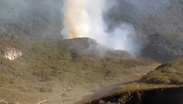 Kawasan Kawah Wadon Gunung Gede Pangrango Terbakar