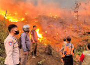 Kebakaran Lahan Kabupaten Sukabumi