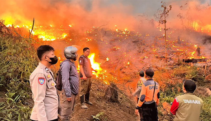 30 Hektare Lahan di Sukabumi Hangus Terbakar