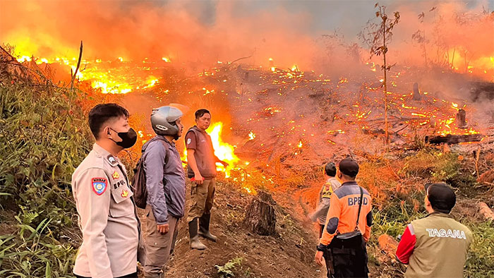 Kebakaran Lahan Kabupaten Sukabumi