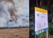 Pendakian Gunung Gede Pangrango Ditutup 7 hingga 11 Agustus 2026