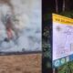 Pendakian Gunung Gede Pangrango Ditutup 7 hingga 11 Agustus 2026