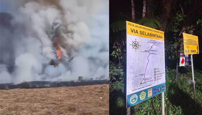 Pendakian Gunung Gede Pangrango Ditutup 7 hingga 11 Agustus 2026
