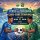 Persib Persibaya